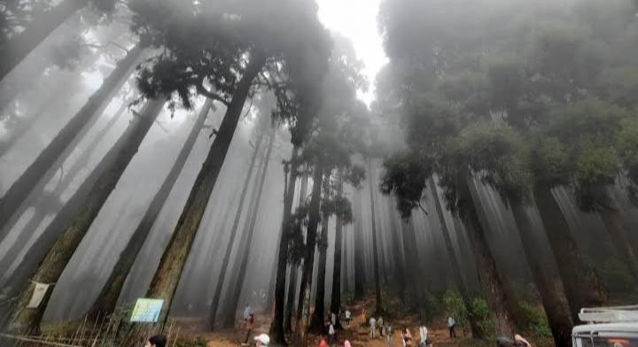 Lama Homestay Darjeeling  Extérieur photo